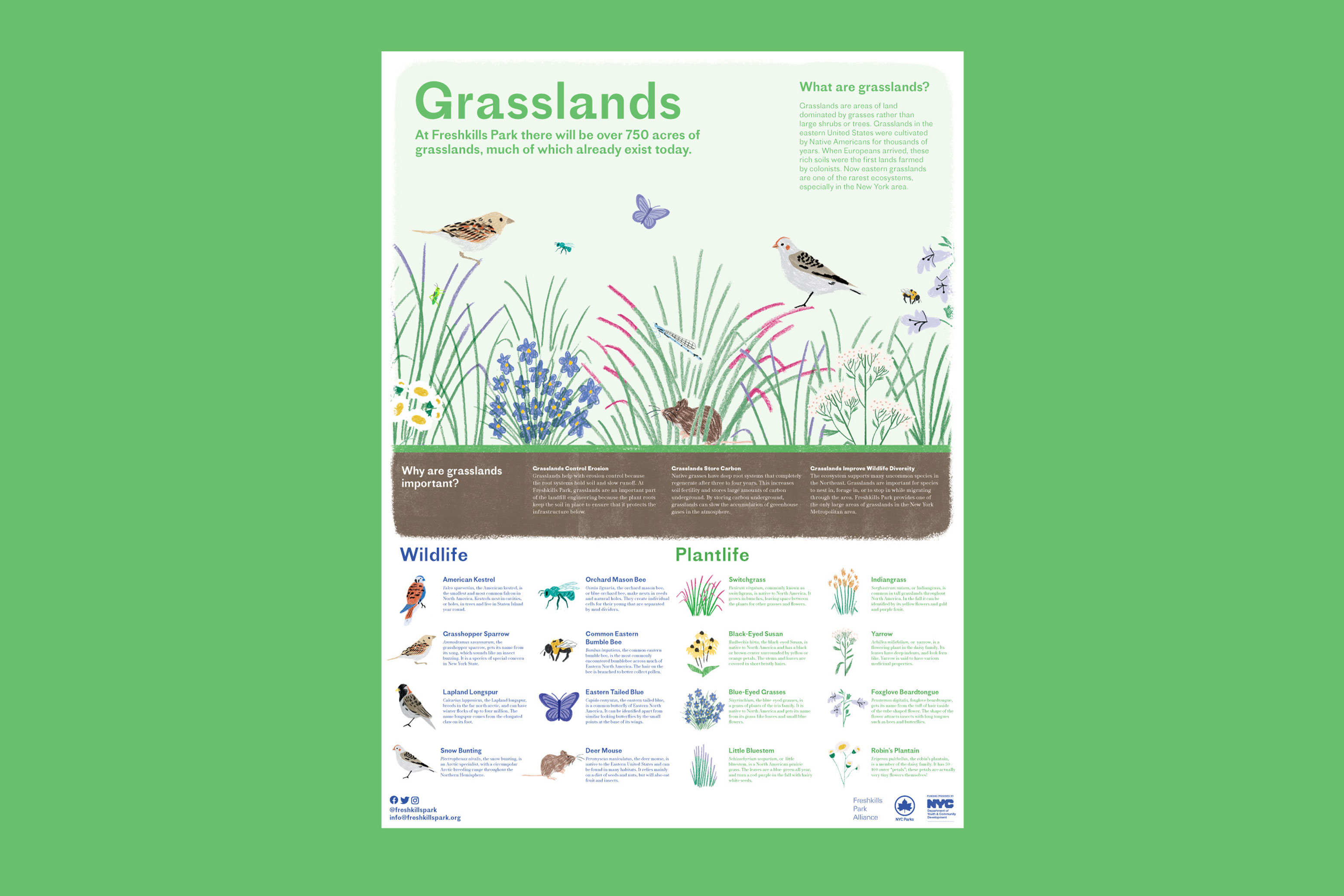 Grasslands Poster